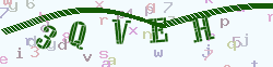 验证码